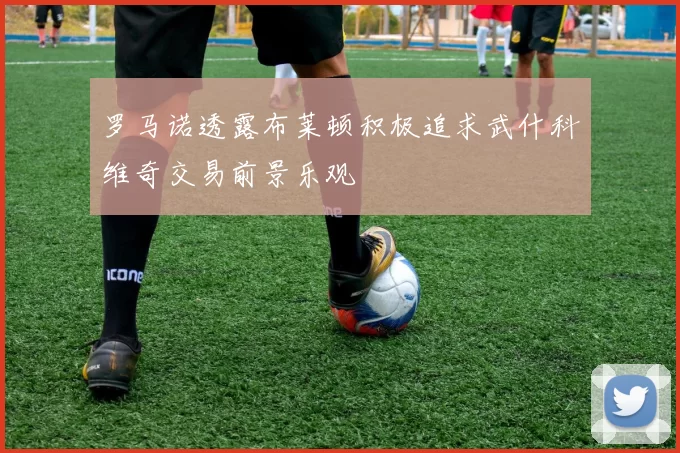 罗马诺透露布莱顿积极追求武什科维奇交易前景乐观